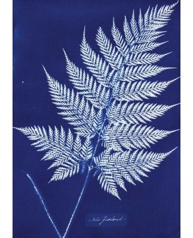 Rinkinys cianotipijai Jacquard