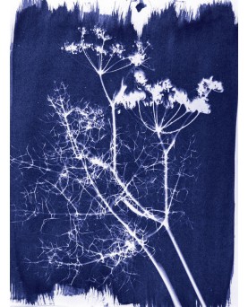 Rinkinys cianotipijai Jacquard
